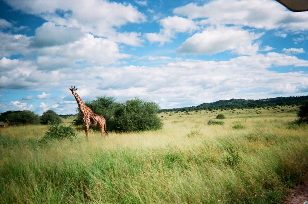 Amazing Tanzania…