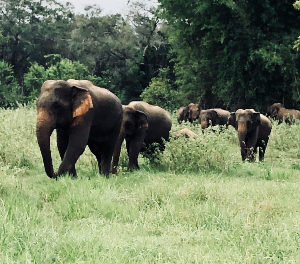 beautiful Sri Lanka